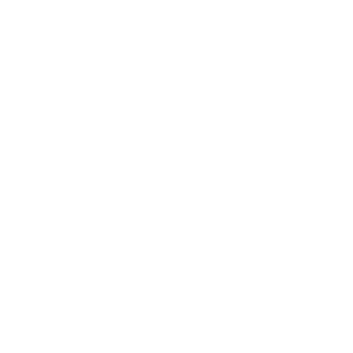 ppt